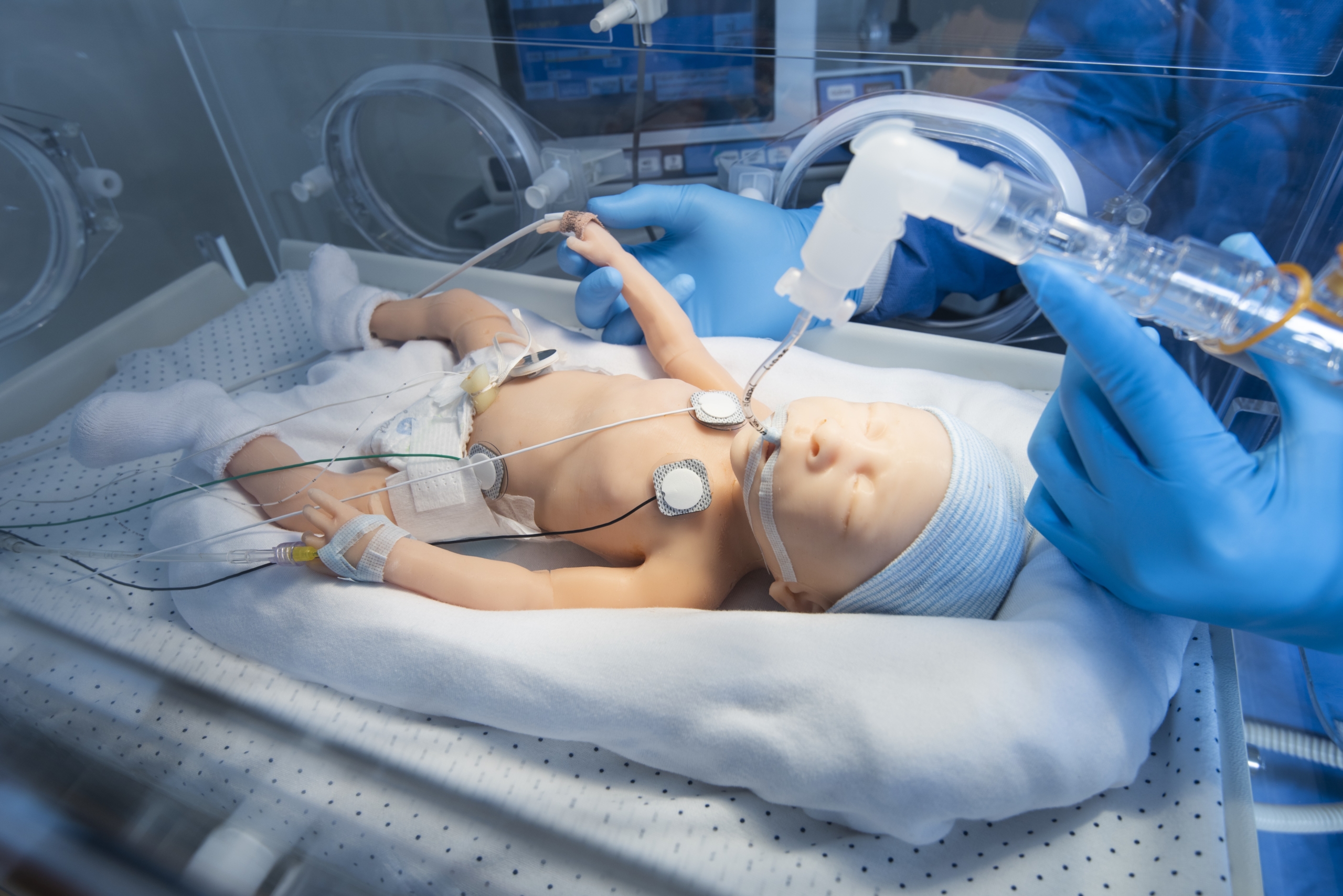 Premie HAL S2209 30 week Premature Infant Patient Simulator - Gaumard Scientific